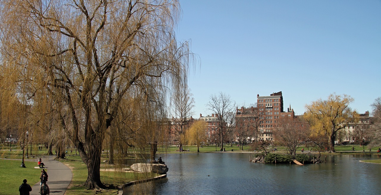 You can also explore Boston's Public Parks